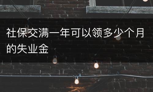 社保交满一年可以领多少个月的失业金