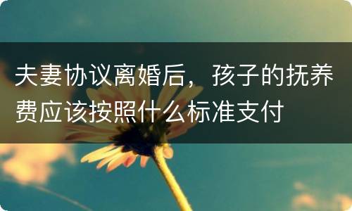 夫妻协议离婚后，孩子的抚养费应该按照什么标准支付