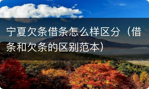 宁夏欠条借条怎么样区分（借条和欠条的区别范本）