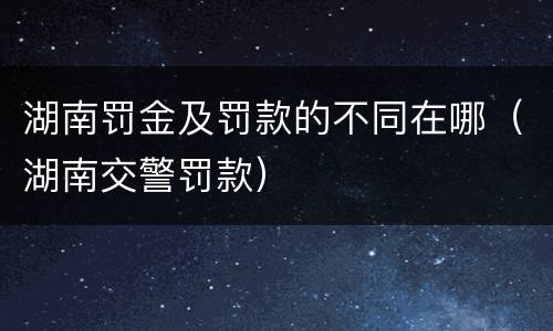 湖南罚金及罚款的不同在哪（湖南交警罚款）