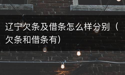 辽宁欠条及借条怎么样分别（欠条和借条有）
