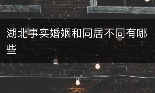 湖北事实婚姻和同居不同有哪些