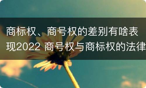 商标权、商号权的差别有啥表现2022 商号权与商标权的法律冲突与解决