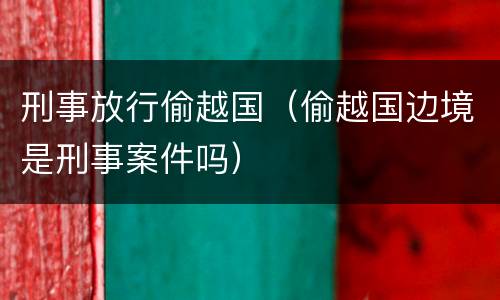 刑事放行偷越国（偷越国边境是刑事案件吗）