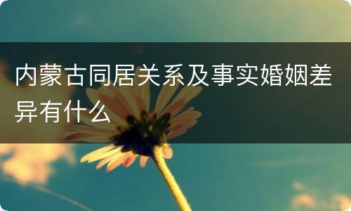 内蒙古同居关系及事实婚姻差异有什么