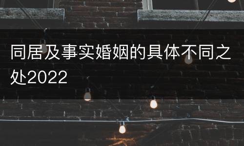 同居及事实婚姻的具体不同之处2022