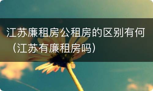 江苏廉租房公租房的区别有何（江苏有廉租房吗）