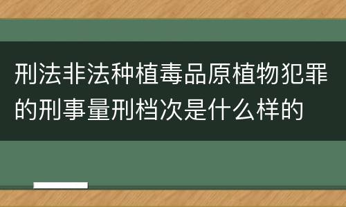 刑法非法种植毒品原植物犯罪的刑事量刑档次是什么样的