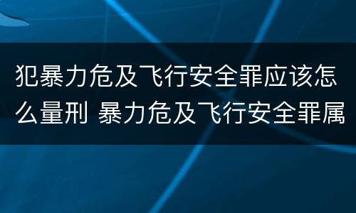 犯暴力危及飞行安全罪应该怎么量刑 暴力危及飞行安全罪属于什么犯