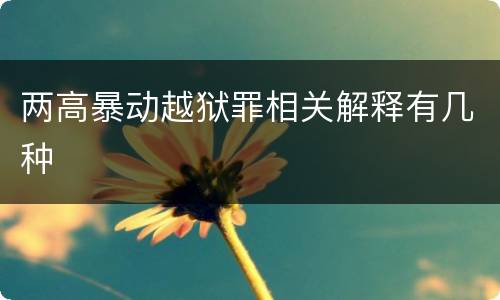 两高暴动越狱罪相关解释有几种