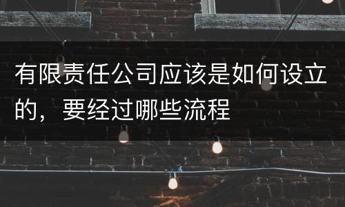 有限责任公司应该是如何设立的，要经过哪些流程