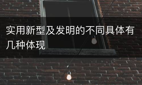 实用新型及发明的不同具体有几种体现