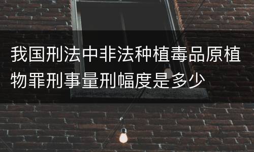 我国刑法中非法种植毒品原植物罪刑事量刑幅度是多少