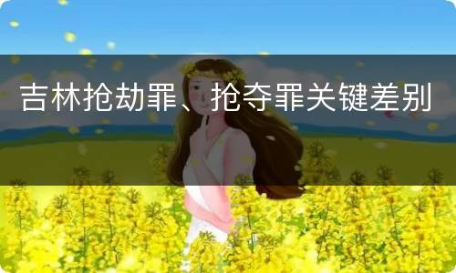 吉林抢劫罪、抢夺罪关键差别