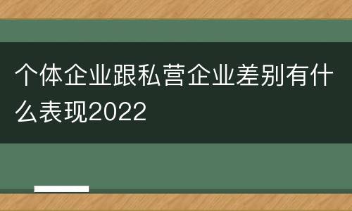 个体企业跟私营企业差别有什么表现2022