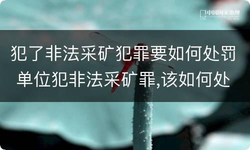 犯了非法采矿犯罪要如何处罚 单位犯非法采矿罪,该如何处罚?