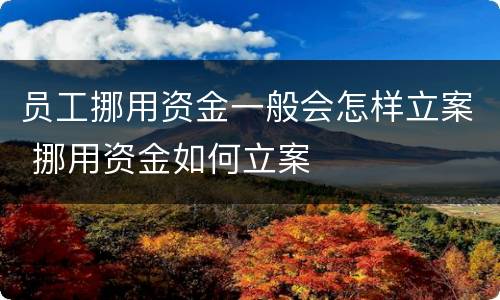 员工挪用资金一般会怎样立案 挪用资金如何立案