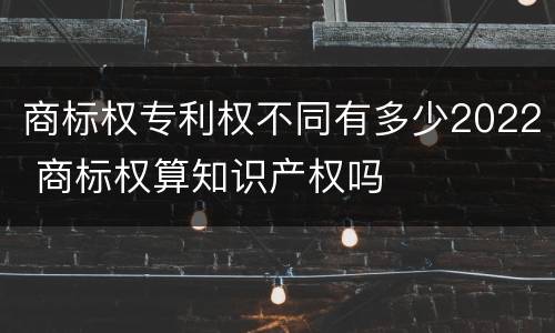 商标权专利权不同有多少2022 商标权算知识产权吗