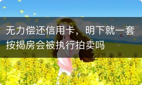 无力偿还信用卡,明下就一套按揭房会被执行拍卖吗