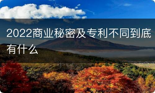 2022商业秘密及专利不同到底有什么