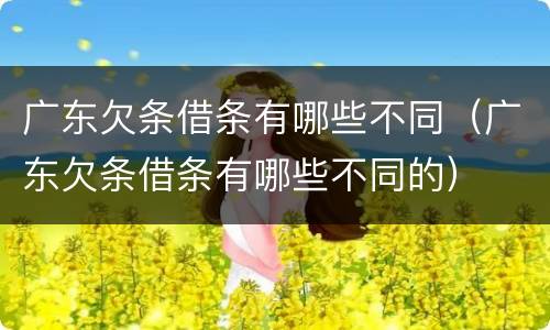 广东欠条借条有哪些不同（广东欠条借条有哪些不同的）