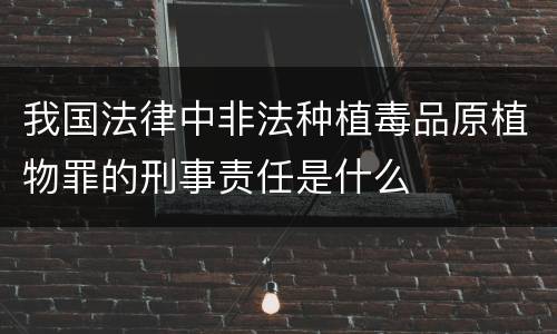 我国法律中非法种植毒品原植物罪的刑事责任是什么