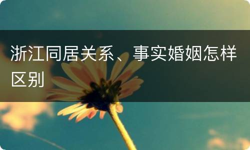 浙江同居关系、事实婚姻怎样区别
