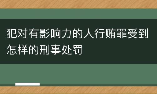 犯对有影响力的人行贿罪受到怎样的刑事处罚