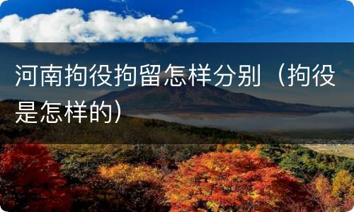 河南拘役拘留怎样分别（拘役是怎样的）