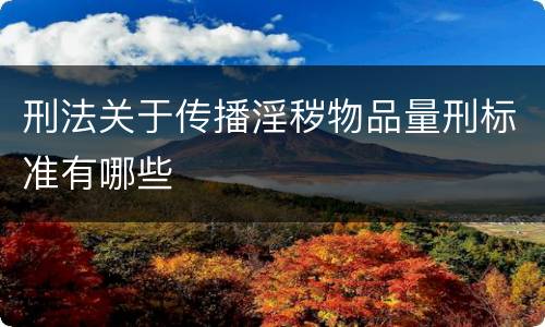 刑法关于传播淫秽物品量刑标准有哪些