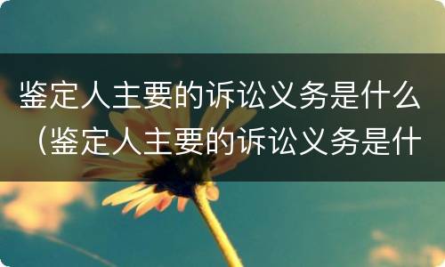 鉴定人主要的诉讼义务是什么（鉴定人主要的诉讼义务是什么意思）