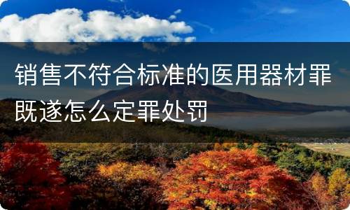 销售不符合标准的医用器材罪既遂怎么定罪处罚