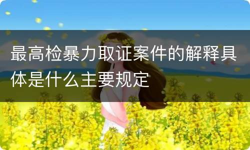最高检暴力取证案件的解释具体是什么主要规定