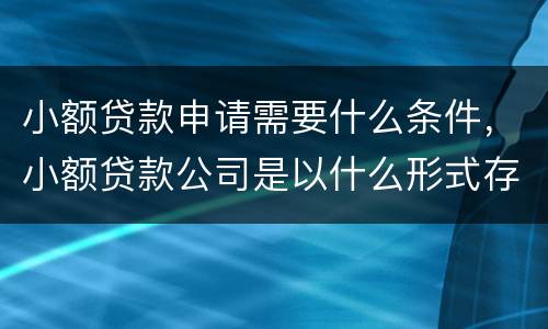 小额贷款申请需要什么条件，小额贷款公司是以什么形式存在的