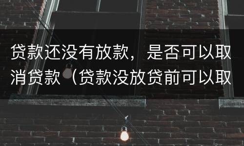 贷款还没有放款，是否可以取消贷款（贷款没放贷前可以取消吗）