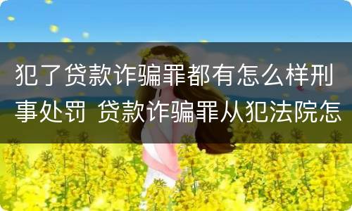 犯了贷款诈骗罪都有怎么样刑事处罚 贷款诈骗罪从犯法院怎么量刑