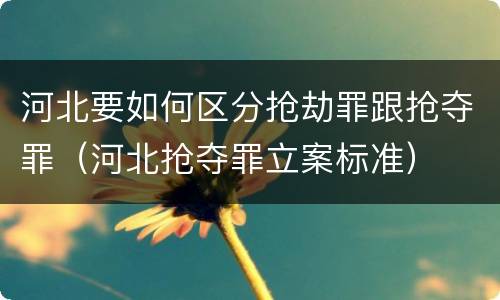 河北要如何区分抢劫罪跟抢夺罪（河北抢夺罪立案标准）