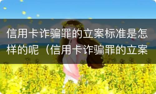 信用卡诈骗罪的立案标准是怎样的呢（信用卡诈骗罪的立案标准是怎样的呢怎么判）