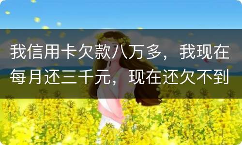我信用卡欠款八万多，我现在每月还三千元，现在还欠不到四万五，今天有人给我发信息