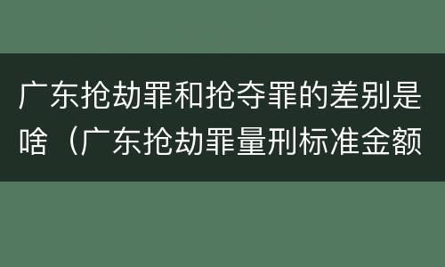 广东抢劫罪和抢夺罪的差别是啥（广东抢劫罪量刑标准金额）