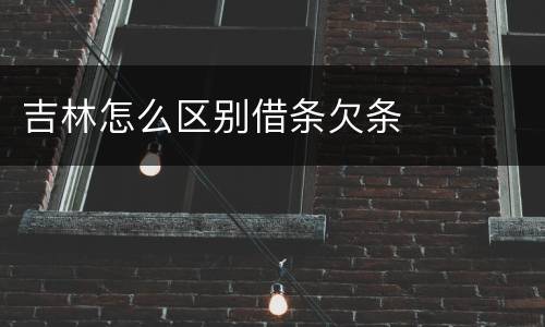 吉林怎么区别借条欠条