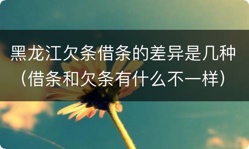 黑龙江欠条借条的差异是几种（借条和欠条有什么不一样）