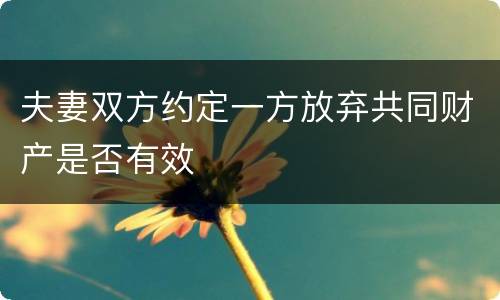 夫妻双方约定一方放弃共同财产是否有效