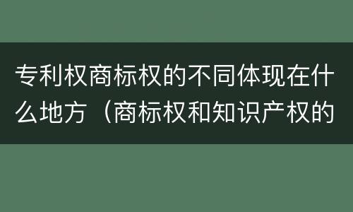 专利权商标权的不同体现在什么地方（商标权和知识产权的区别）