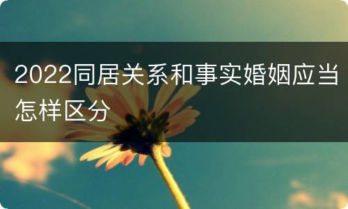 2022同居关系和事实婚姻应当怎样区分