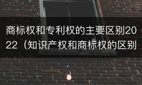 商标权和专利权的主要区别2022（知识产权和商标权的区别）