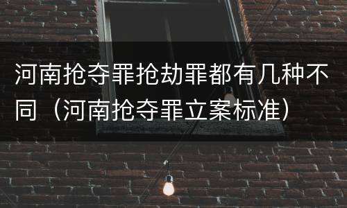 河南抢夺罪抢劫罪都有几种不同（河南抢夺罪立案标准）