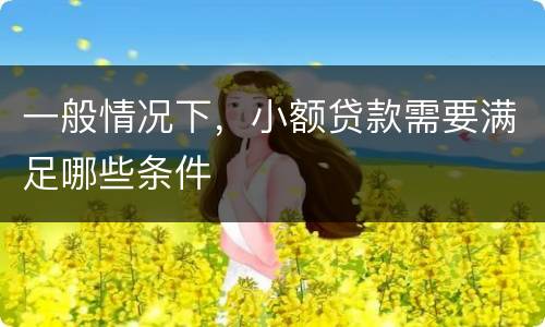 一般情况下，小额贷款需要满足哪些条件