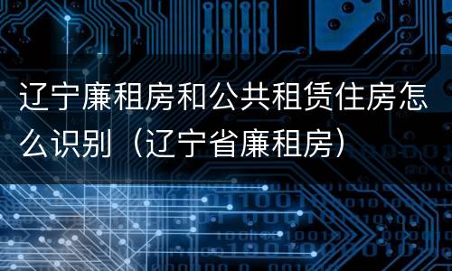 辽宁廉租房和公共租赁住房怎么识别（辽宁省廉租房）