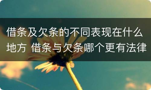 借条及欠条的不同表现在什么地方 借条与欠条哪个更有法律依据